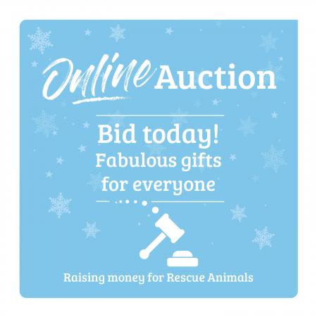 Online Christmas Auction